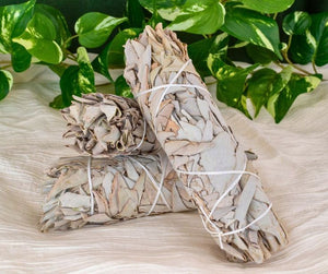 Healing Sage